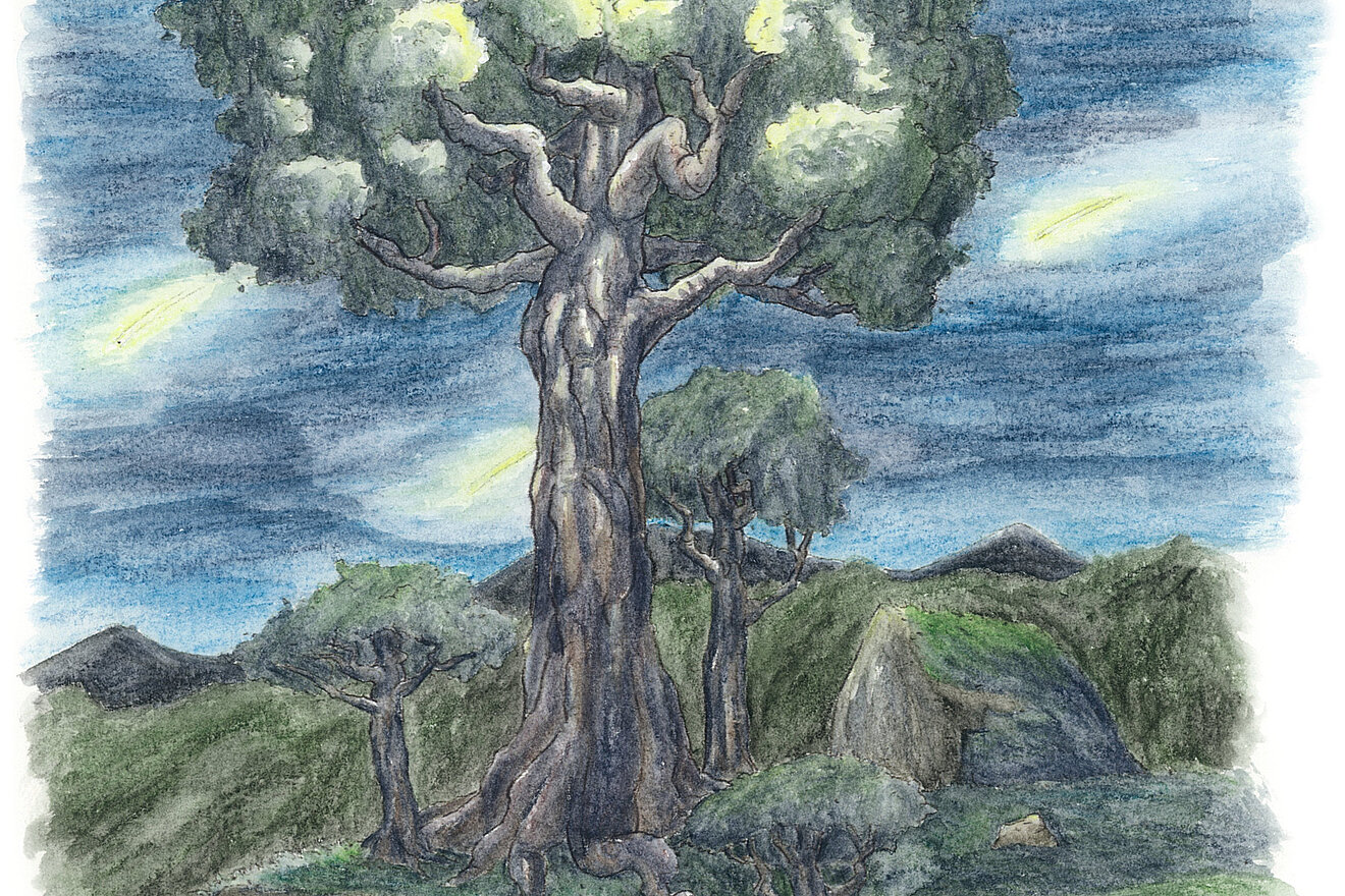 Meranti_03